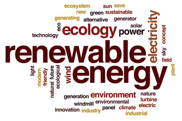 RenewableWeb